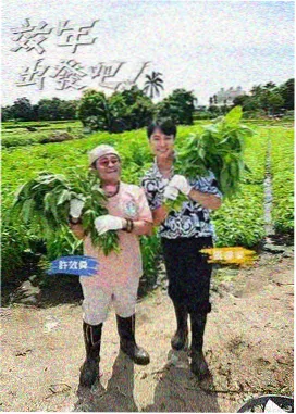 幸福攻略 之 光芒 免费观看